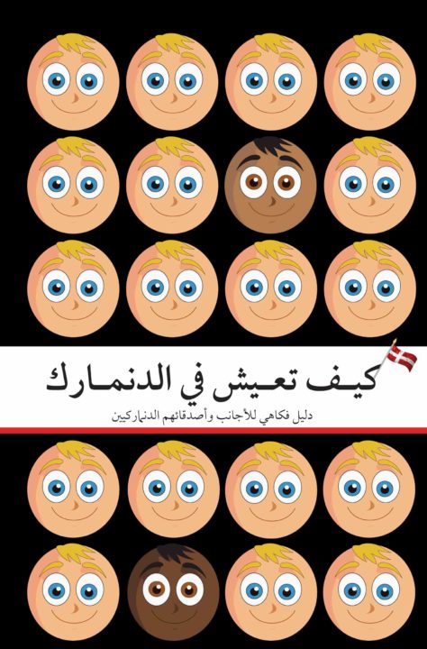 كيف تعيش في الدنمارك How to Live in Denmark Arabic edition: eBook