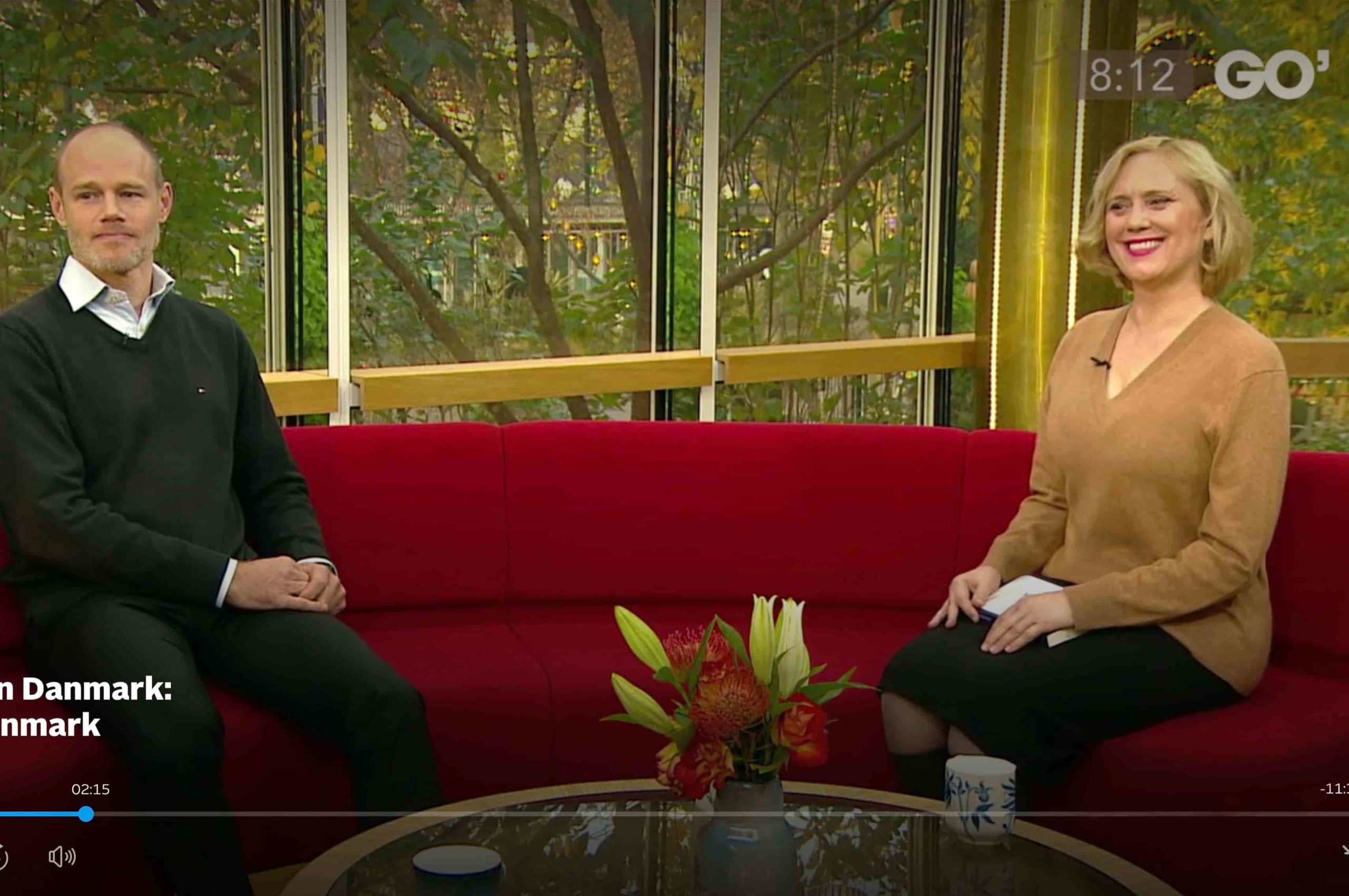 How to Work in Denmark in the Media Book on Danish working culture