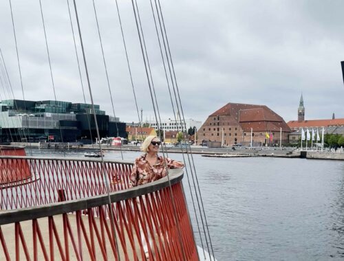 Bridges of Denmark