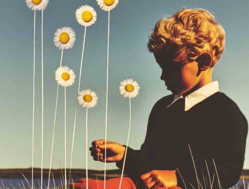 The Daisy Route in Denmark