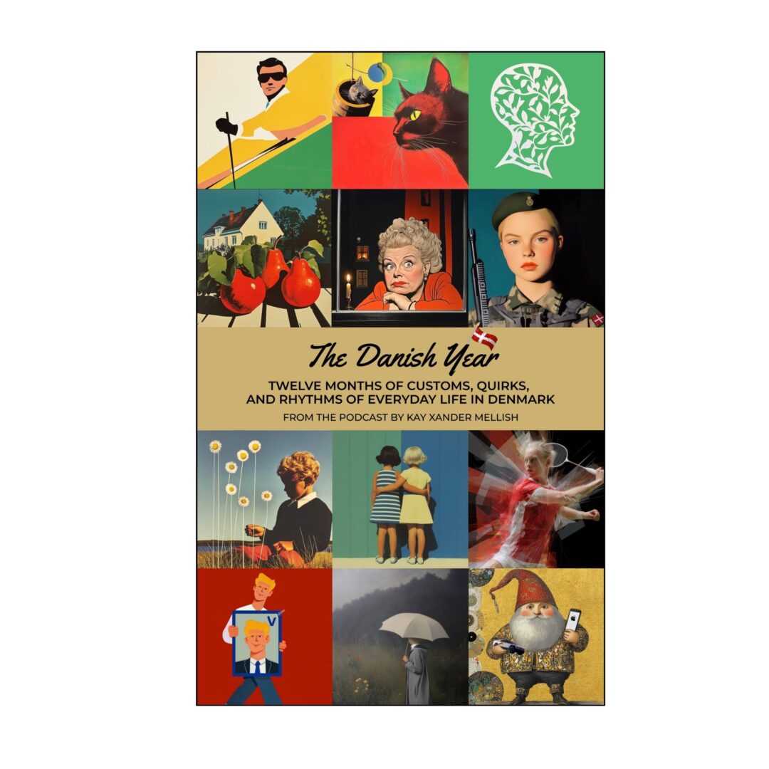 Everyday life in Denmark book