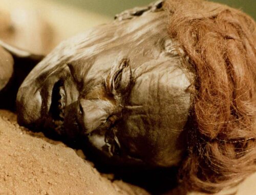 Dead Viking Danish Mummy Graubolle man photo: By Sven Rosborn - Own work, Public Domain, https://commons.wikimedia.org/w/index.php?curid=4330456
